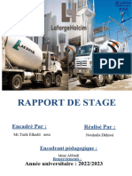 RAPPORT - NELLA VF 1 - Copie