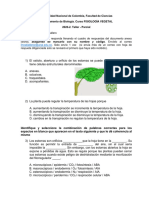 Parcial-Taller FV2020-2