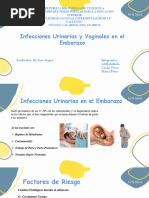 Infecciones Urinarias y Vaginales