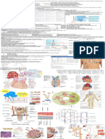 Anatomy and Physiology Science Olympiad 2024 Cheat Sheet