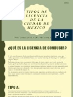 Investigacion de Tipos de Licencia