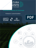 Ebook Aula 1 - Entendendo Sistemas de Informação Rural