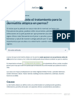 ¿En Qué Consiste El Tratamiento para La Dermatitis Atópica en Perros? - AniCura