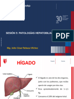 Sesión 05 - Patologías Hepatobiliares