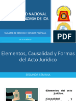 Acto Juridico 2 (Elementos, Causalidad y Forma Del Acto Juridico