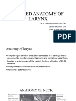 Larynx Anatomy