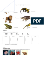 Activity Vertebrates