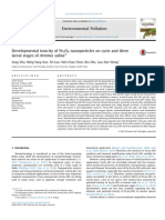 Developmental Toxicity of Fe3O4 Nanoparticles On Cysts and Three Larval Stages of Artemia Salin