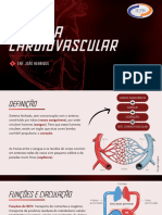 Sistema Circulatório