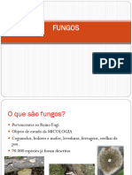 Apresentao Fungos