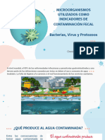 Microorganismos Utilizados Como Indicadores de Contaminación Fecal