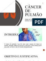 Cancer de Pulmão - Elaine