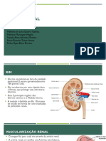 Função Renal (Concluído) .