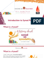 Introduction To The Synod Process