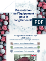 Overview of Equipment For IQF Freezing FR