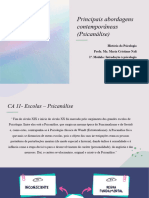Aula 09 Principais Escolas - Psicanálise