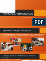 2.1 Principios Pedagogicos