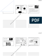 Documentos Nano-Pereira - 2