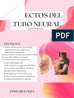 Defectos Del Tubo Neural Tohen