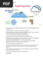 Tensión Superficial