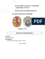 Informe 13 - Morfología y Estructura de La División Pteridophyta