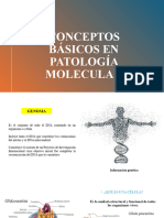 Conceptos Basicos Molecular