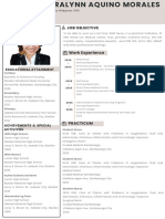 Minimalist Modern Professional CV Resume