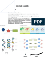 Introdução À Genética