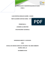 Fase 5 - Actuación para Poner El Plan en Práctica - 30161 - 22