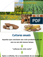 Aula 1 - Culturas Anuais Intordução