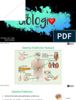 Sistema Endócrino