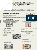 Historia Natural de La Enfermedad