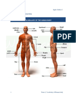 INGLES MEDICO I - Clase 1 - Human Body 2023