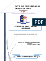 Cours de Droit Penal General Bis