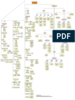 Mapa Conceptual Periodo Pre - Embrionario y Embrionario