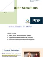 Lecture 8 - Somatic Sensations