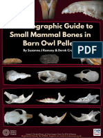 A Photographic Guide To Small Mammal Bones in Barn Owl Pelletsones in Barn Owl Pellets