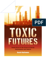 Toxic Futures - South Africa in The Crises of Energy, Environment and Capital