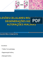 LesÃ Es Celulares Reversã Veis - Degeneraã Ã Es Hialinas e Hialinoses