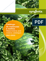 Catálogo Digital Melancias e Melões - Syngenta