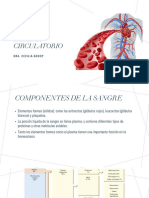 Sistema Circulatorio