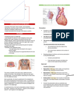 Anaphy Heart