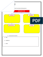 1er Año - Actividad - Semana 6