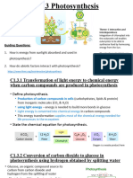 C1.3 Photosynthesis