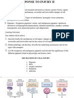 2 Cellular Response To Injury 2