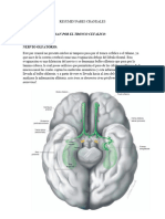Resumen Pares Craneales
