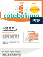 Unidad 3.1. Catabolismo