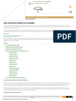 Guía Visual de Los Déficits en El Cannabis - Dutch Passion