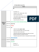 N1 Lesson Plan Summary