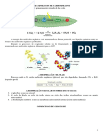 Metabolismo de CH (Apostila)